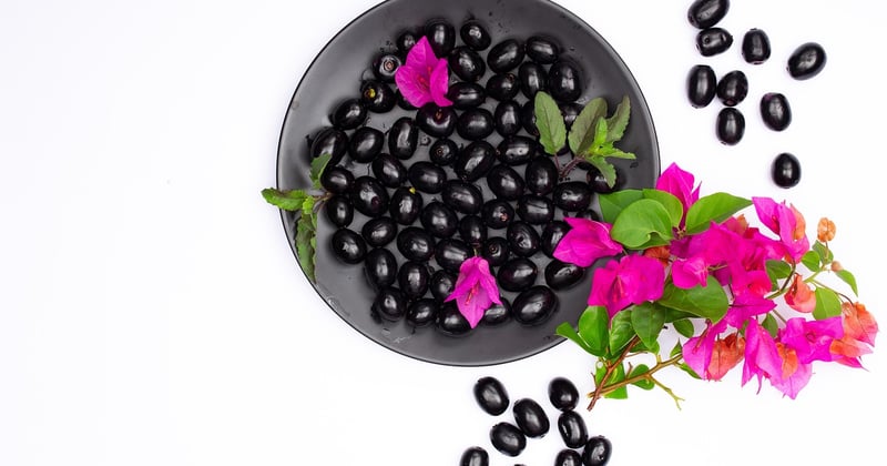 Tapenade d'olives noires recette provençale : le goût du Sud en 15 minutes