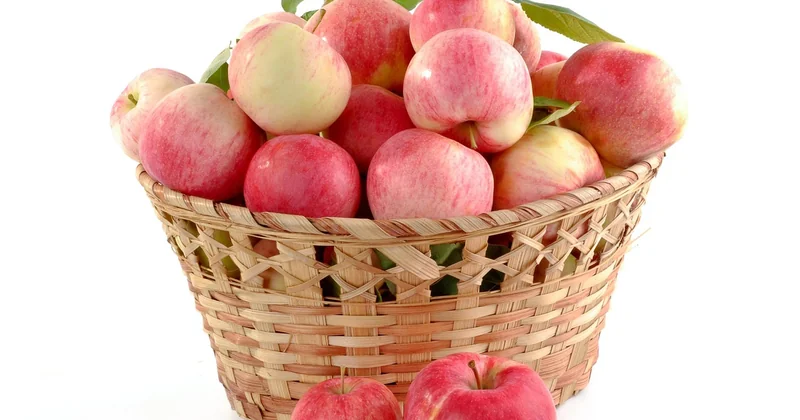 Le choix des pommes : l'étape que tout le monde bâcle
