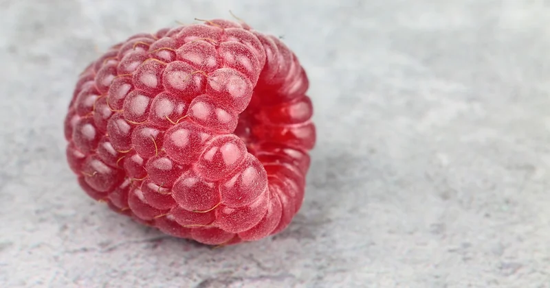 Coulis de fruits rouges : frais ou surgelés ?