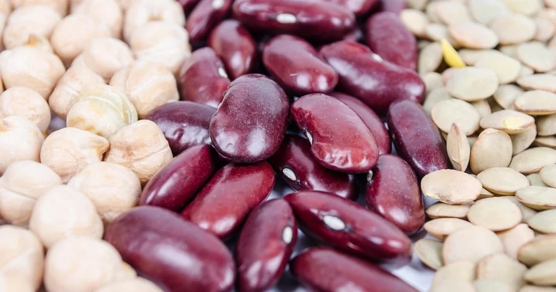 Conserve ou pois chiches secs : le vrai comparatif